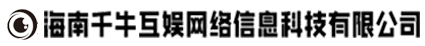 海南千?；示W(wǎng)絡(luò)信息科技有限公司